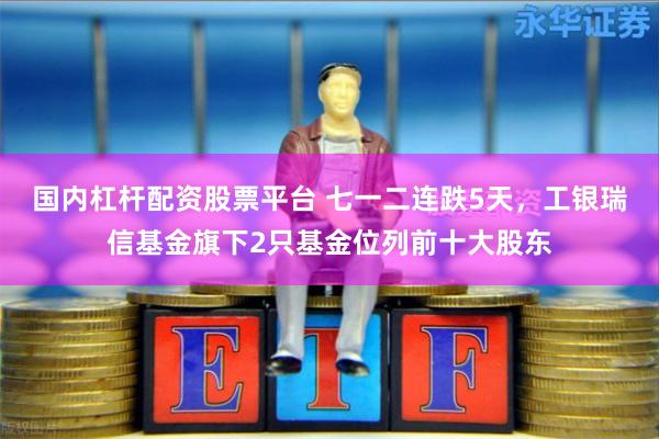 国内杠杆配资股票平台 七一二连跌5天，工银瑞信基金旗下2只基金位列前十大股东