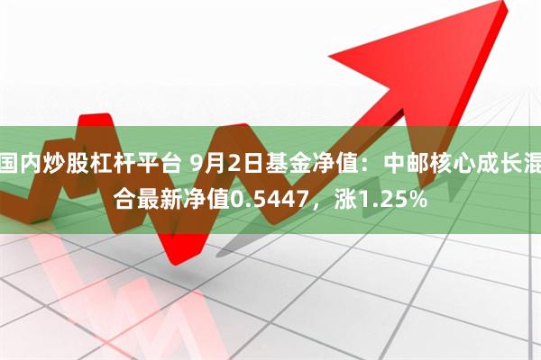 国内炒股杠杆平台 9月2日基金净值：中邮核心成长混合最新净值0.5447，涨1.25%